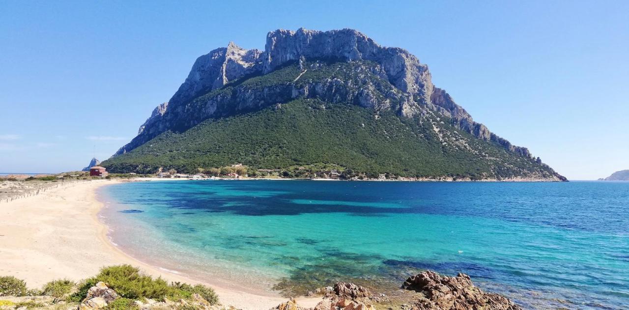 Il Faro San Teodoro Aparthotel Luaran gambar